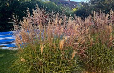 Wunderschöne, große Gartenwohnung mit 3 Schlafzimmern Nähe Kaufbeuren - Foto 45