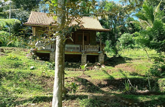 duegoal farmhouse - Photo 36