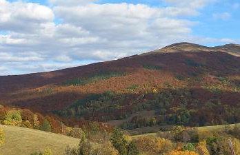 Smerekowa Ostoja - Photo 39