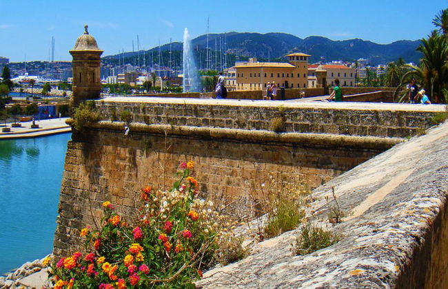 PalmaBus Tour - Saindo da Área Norte - Foto 1