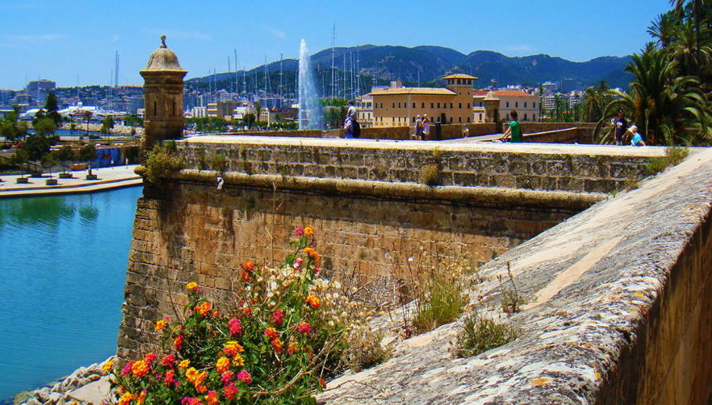 PalmaBus Tour - Departing from the North Area - Photo 1