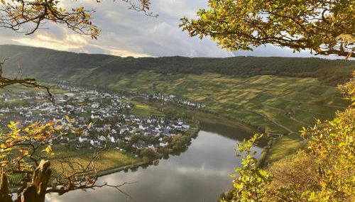 Ferienwohnung Moselblümchen Amelie - Foto 5