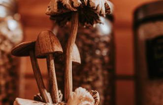 Healing Acres - Foto 9