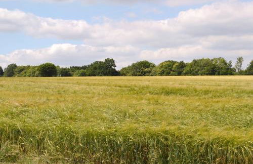 Stable Cottage - Foto 13