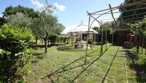 Casa Medina - Foto 5, Garden