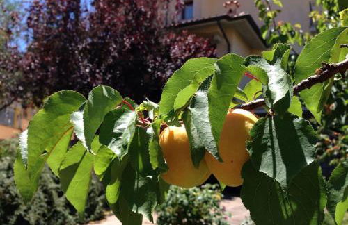 Casa in Gallura - Mare, Montagna, Escursioni - Foto 43