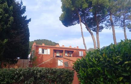 Domaine Des Mimosas - Foto 49