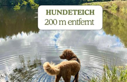 Hundeurlaub - Tiny House im Wald - Foto 2