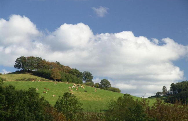 Apartment Near the ski Area in Wehrstapel - Foto 31
