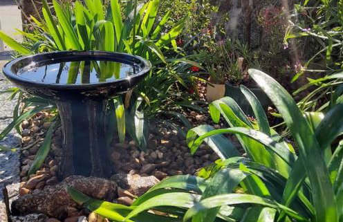 Corvus - Beautiful cottage half a mile from Mousehole - Photo 12