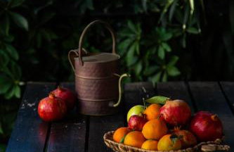 Beetle Villa retro country house - Foto 22