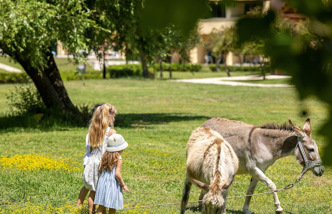 Grecotel LUXME Costa Botanica - Foto 60