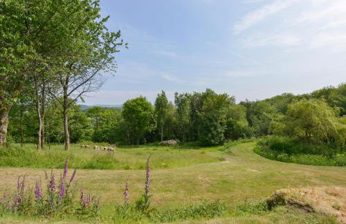 Beckaford View - Foto 33