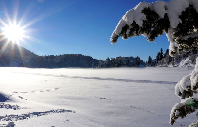 Peaceful Chalet in Turracherhöhe with Indoor Hot Tub - Foto 24