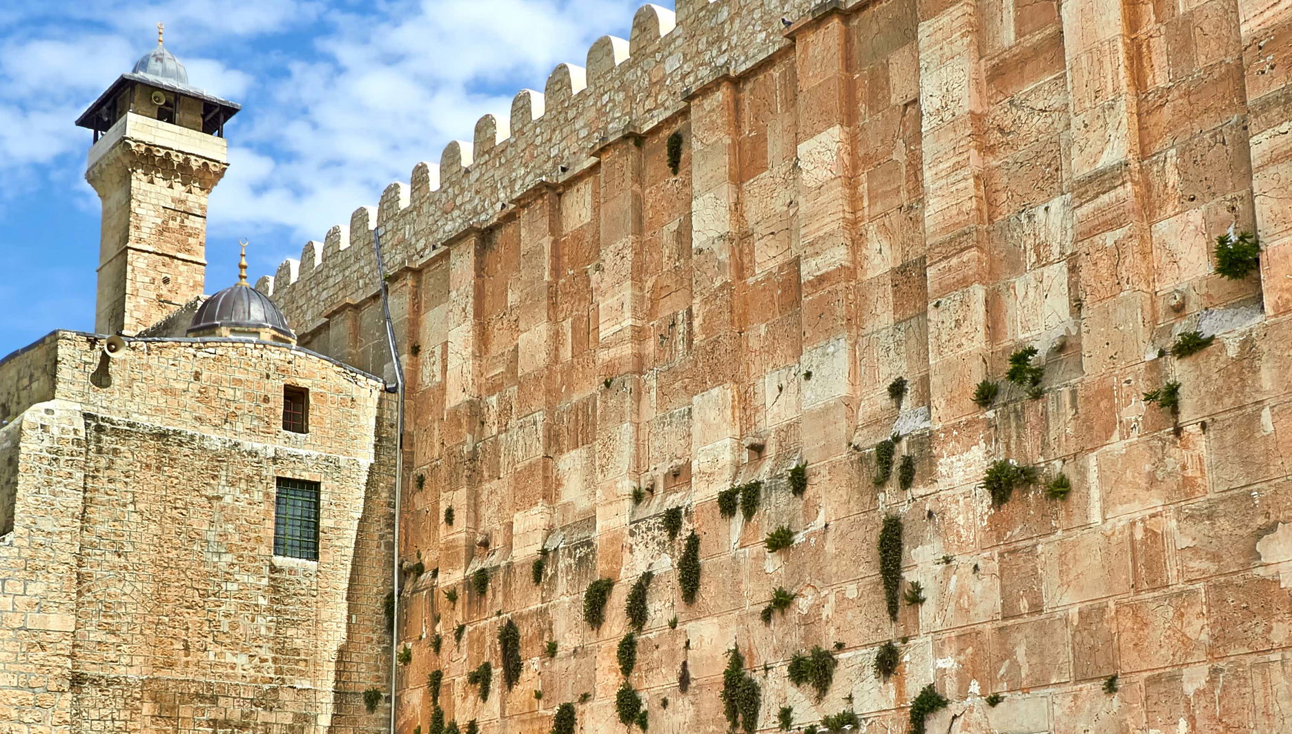 Hebron Palestine Tour