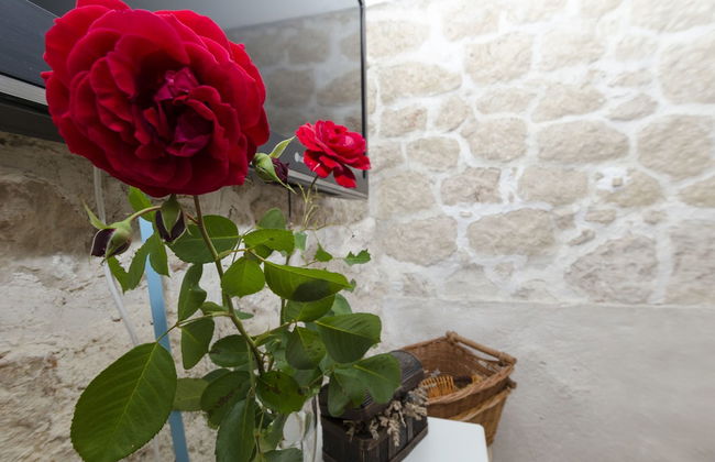 House Jasna - Photo 25