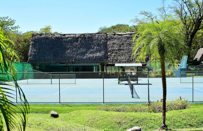 Hidden Palms Nosara - Photo 65