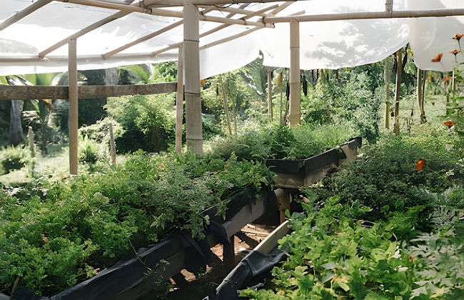 Balsa Nueva Lodge - Foto 47