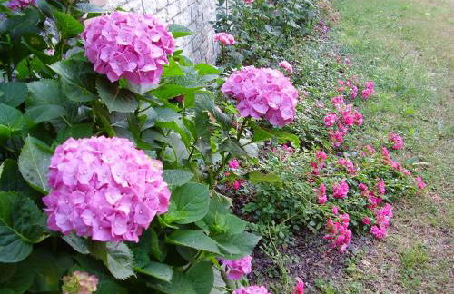 Agriturismo Dea - Photo 32