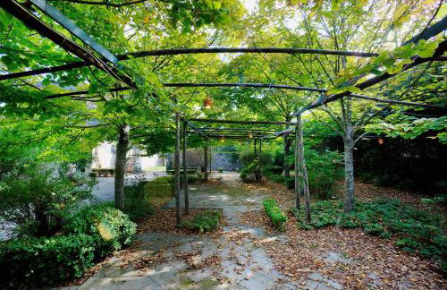 Tenuta Sant'Andrea - Foto 18