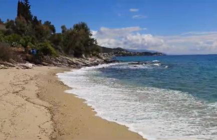 Olivia -Ελιά - Foto 48