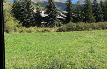 Studio terrasse plein sud avec coin montagne - Foto 19