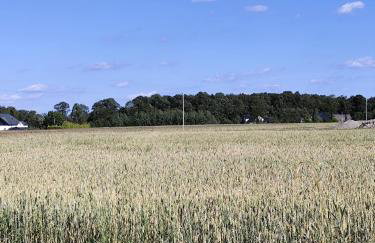 Domki pod skarpą Zator 27 - Foto 42