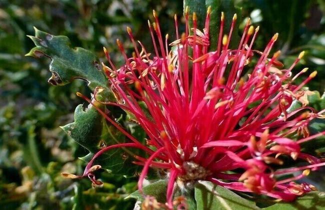 Kerriley Park Farm Stay - Foto 13