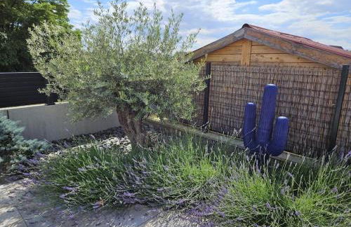 Villa de l'Elbe proche Europapark en Alsace - Foto 10