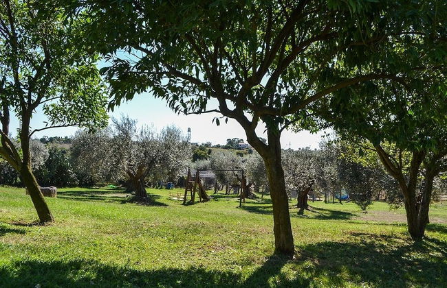 Ars Naturae Biologic Farm - Foto 45