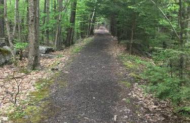 The Acorn includes fire pit, swimming, hiking and nature - Foto 31
