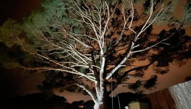 Villa Vista Bonita - Foto 3, Garden