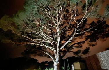 Villa Vista Bonita - Foto 3