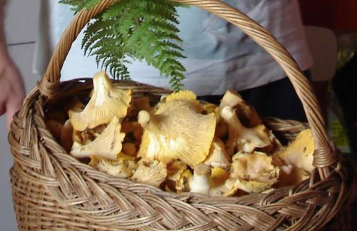 La Roche Pérégrine - Photo 54