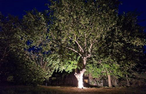 A Sense of Calm & Relaxation - Foto 25