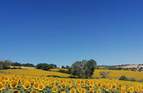 Il Giardino nella Valle - Foto 10