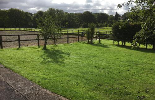 Little Rushbrook Cottages - Foto 49