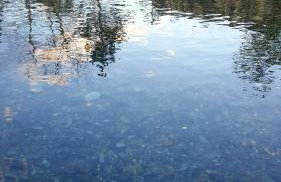 Cévennes Méridionales maison linge fourni - Foto 68