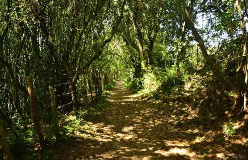 Apartamento Vista Bela - Foto 19