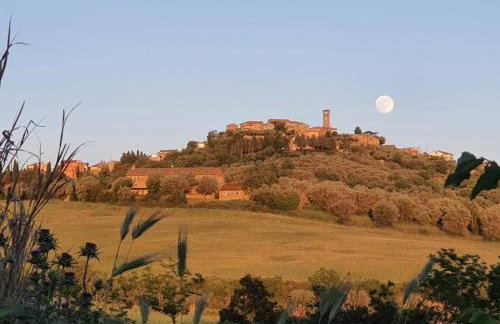 Villa in Agello - Photo 52