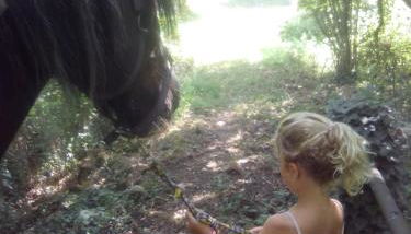 Gite Ramana - Foto 2