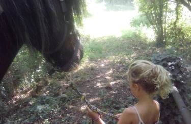 Gite Ramana - Foto 2