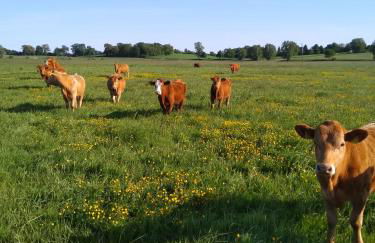 Ferienhaus Segebrecht - Foto 2