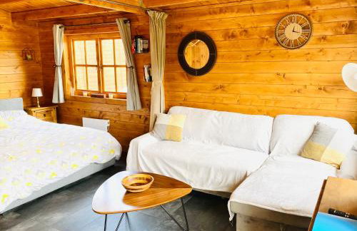 The Postage Stamp Cabin - Foto 13