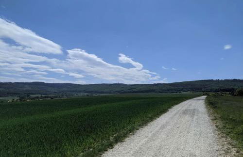 Großzügige 3-Zimmer-Wohnung im Taunus - 2 Bäder & Familienfreundlich - Foto 16