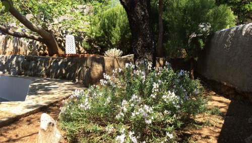 Holiday Home Cesarica - Foto 2, Garden