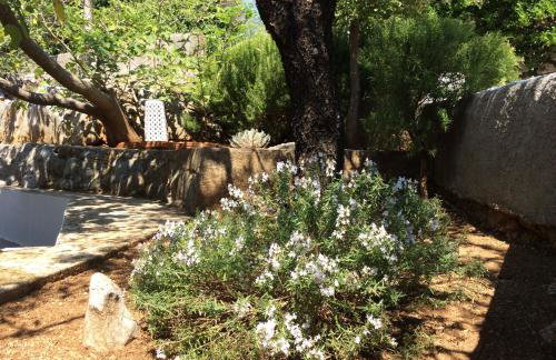 Holiday Home Cesarica - Foto 2