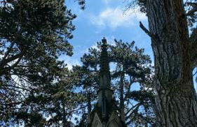 Urlaub im Wasserschloss Irmelshausen - Foto 3