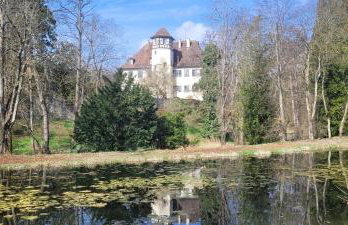 Seeschwalbe - Foto 25