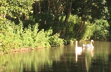 Individuell Wohnen Loft-Charakter im Innenhof - Foto 20